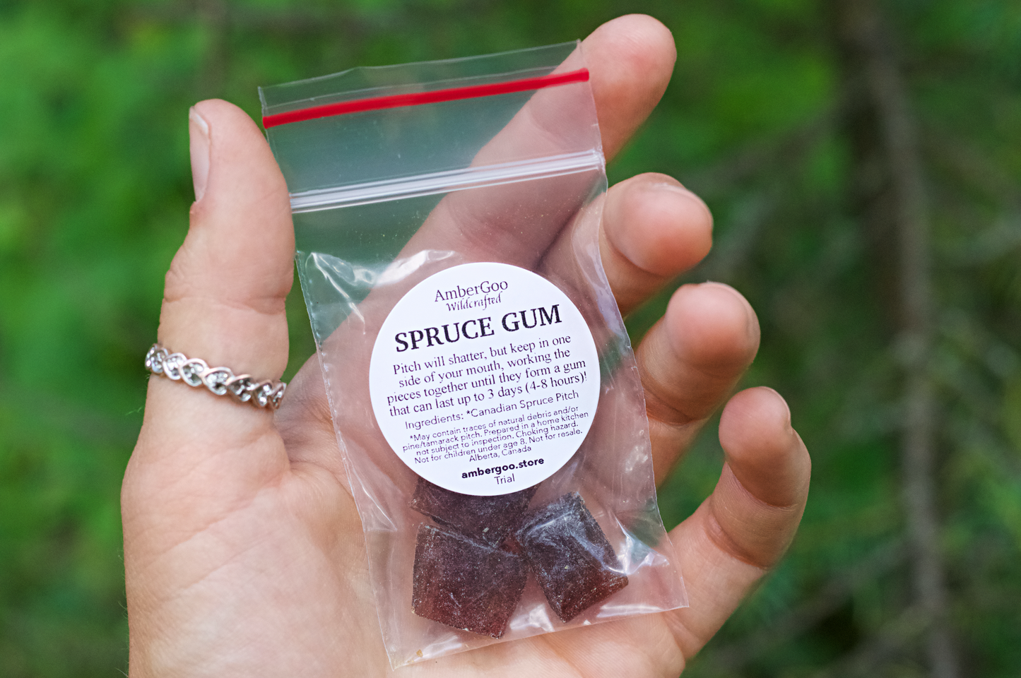 Canadian Spruce Gum Trial Size