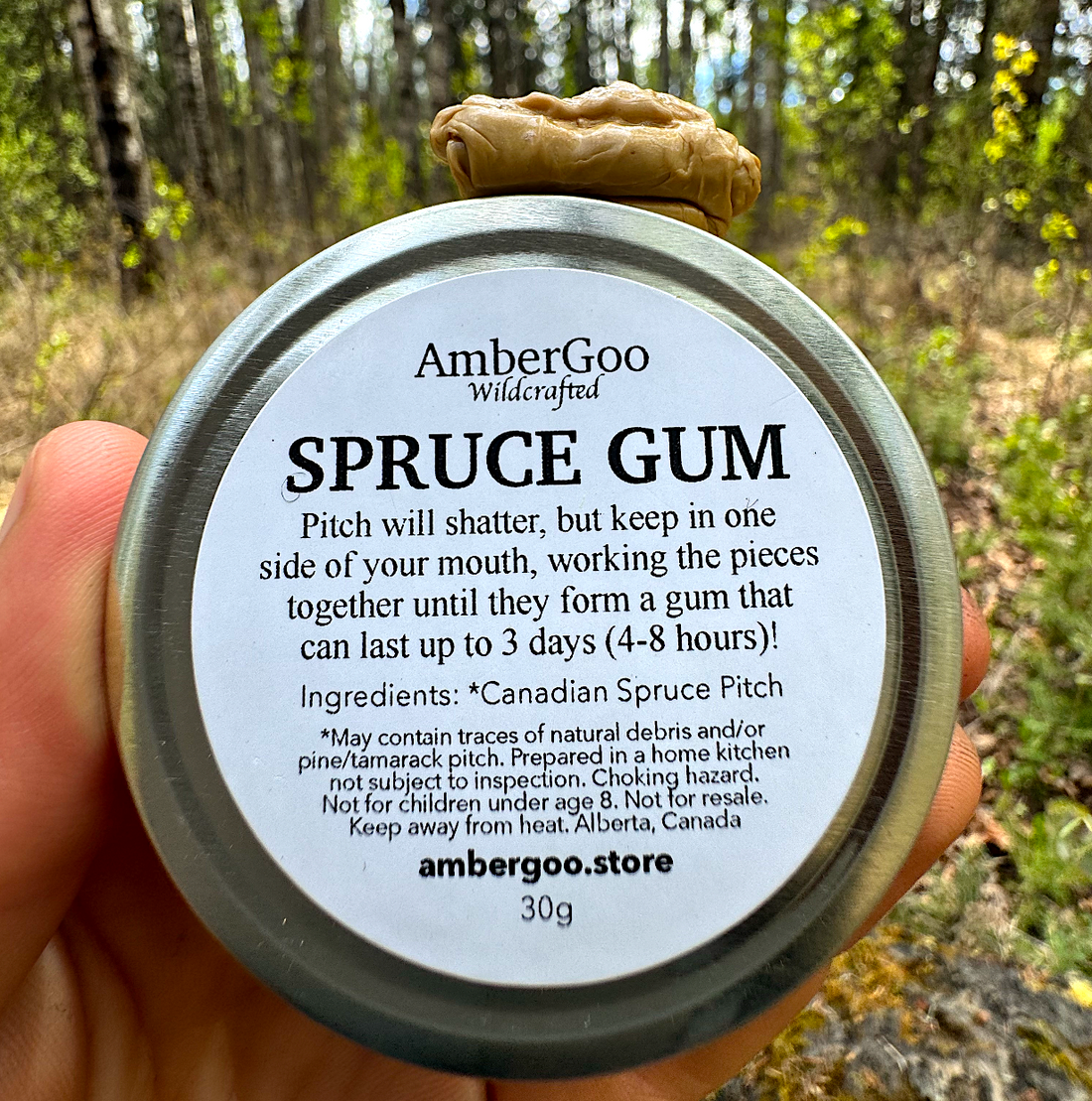 What Chewing Gum Actually Does in Your Mouth—and Where Spruce Gum Fits