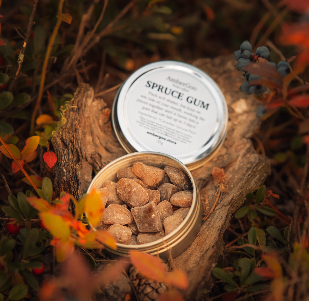 20 Benefits of Spruce Gum | Why Choose AmberGoo?