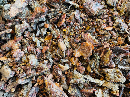 Canadian Spruce Gum 15g (~12 pieces)