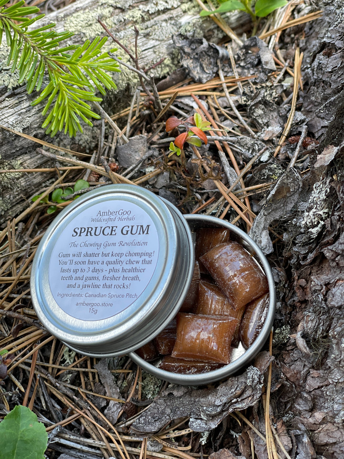 Canadian Spruce Gum 15g