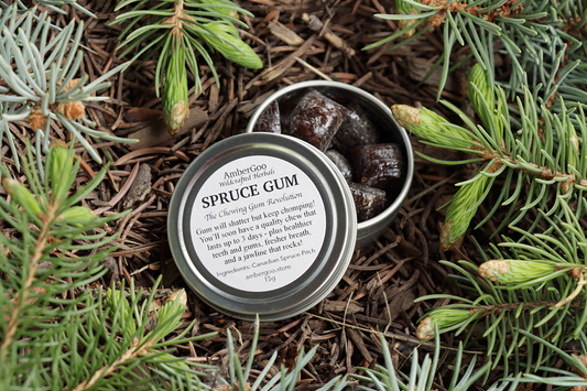 Canadian Spruce Gum 15g