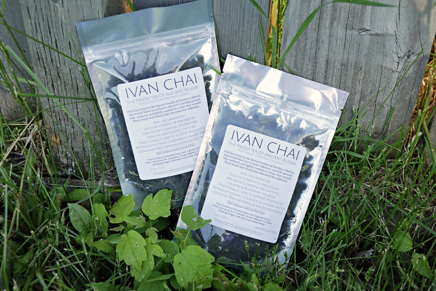 Russian IVAN CHAI Wildcrafted in Alberta