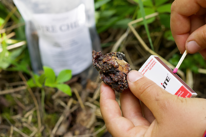 Fire Chips: The ultimate non-toxic fire starter