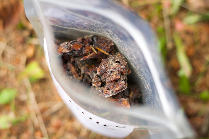 Fire Chips: The ultimate non-toxic fire starter