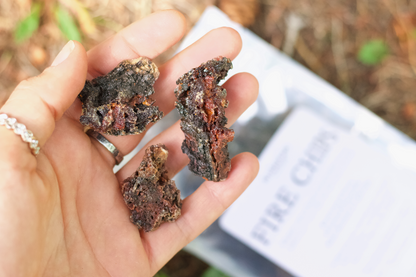 Fire Chips: The ultimate non-toxic fire starter