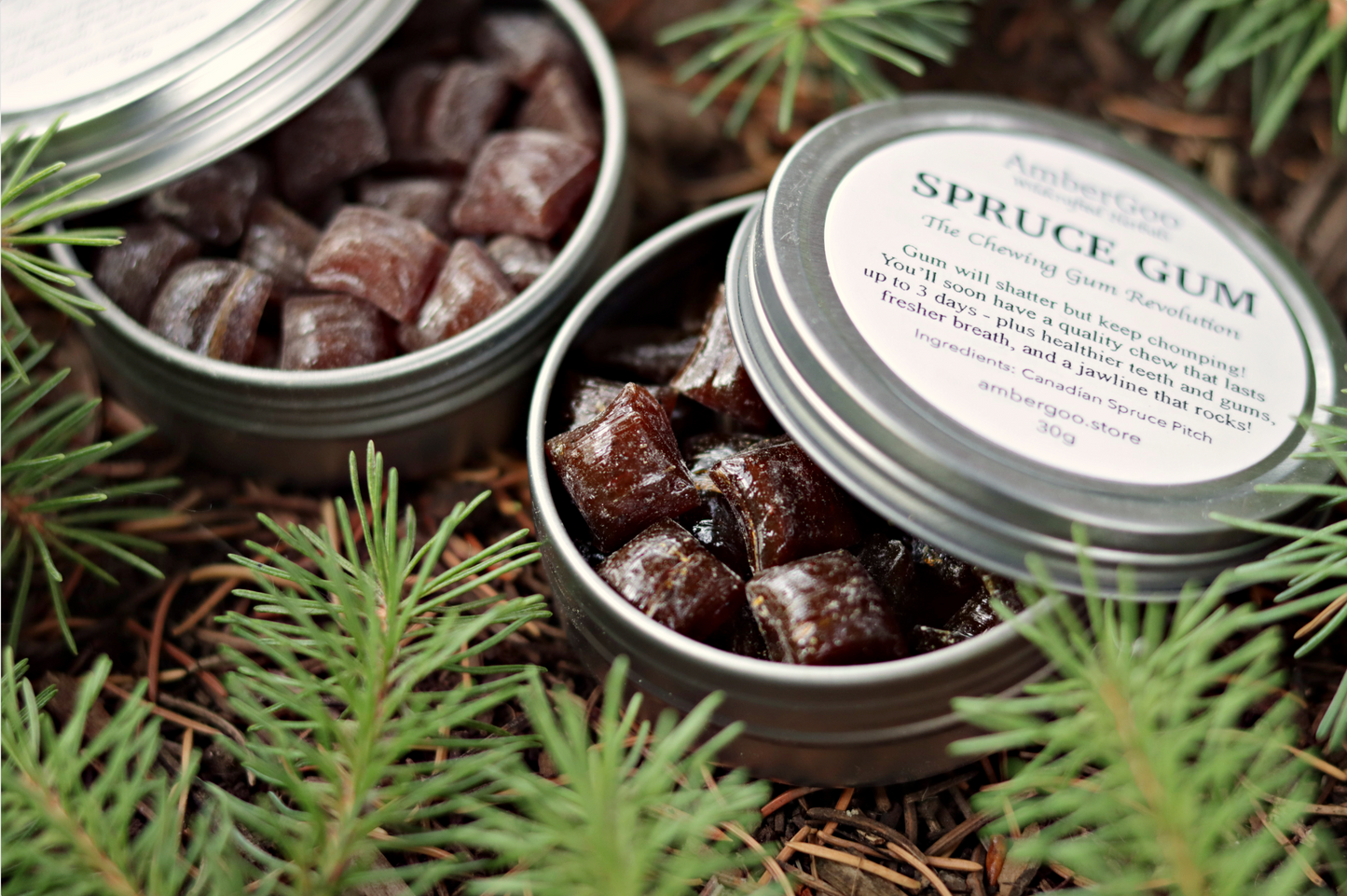 Canadian Spruce Gum 30g