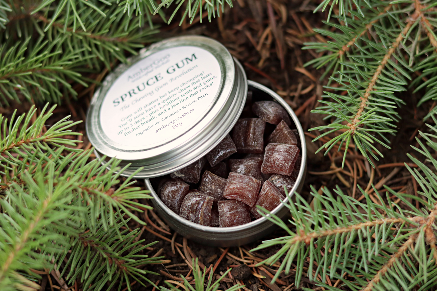 Canadian Spruce Gum 30g