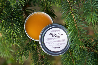 AmberGoo Bomb (Traditional Spruce Pitch Salve)