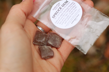 Canadian Spruce Gum Trial Size (3 pieces)