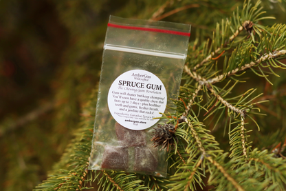 Canadian Spruce Gum Trial Size (3 pieces)