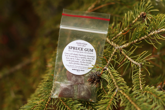 Canadian Spruce Gum Trial Size