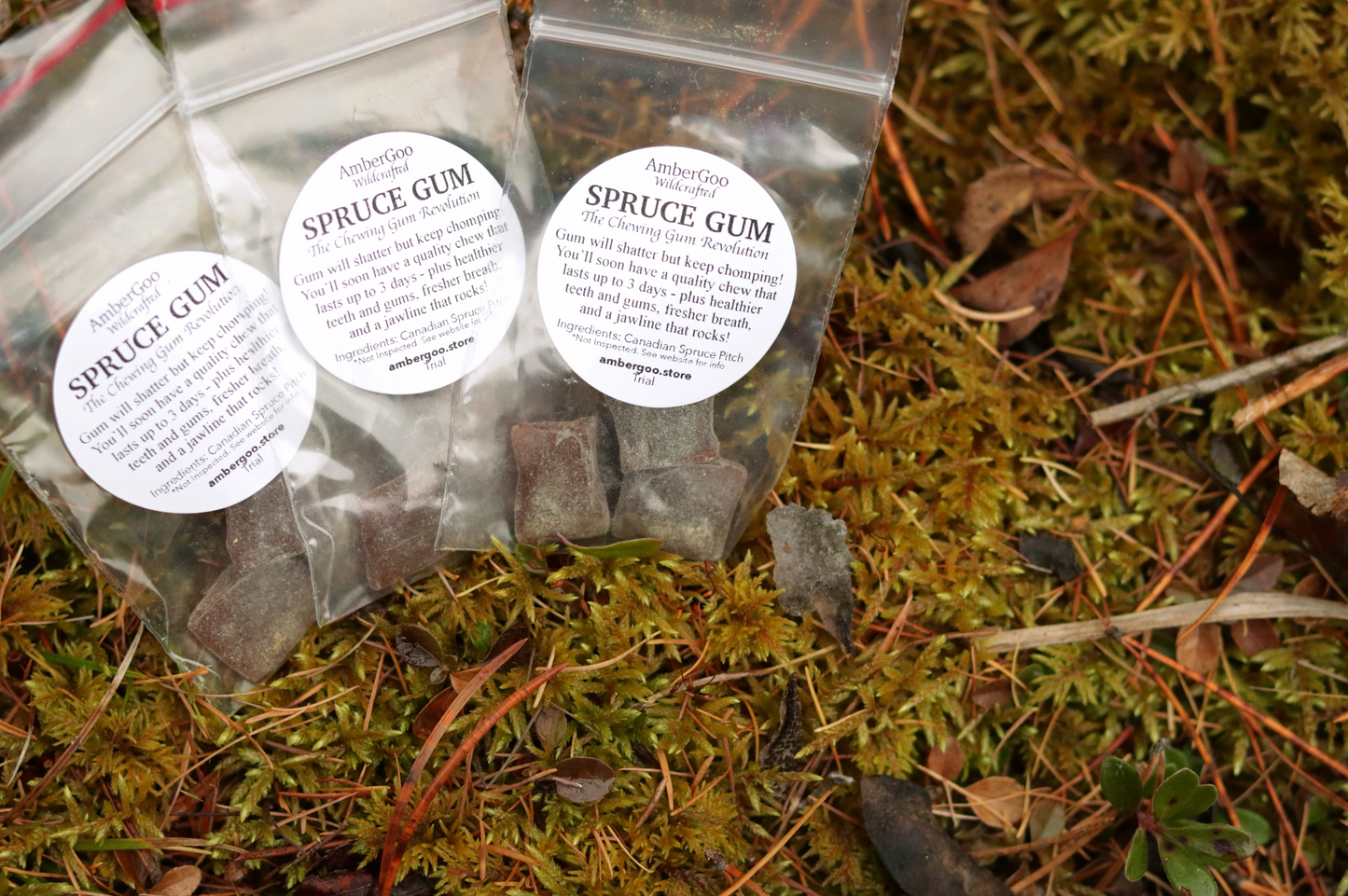 Canadian Spruce Gum Trial Size