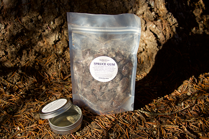 Natural Spruce Gum | Wildcrafted in Alberta | AmberGoo