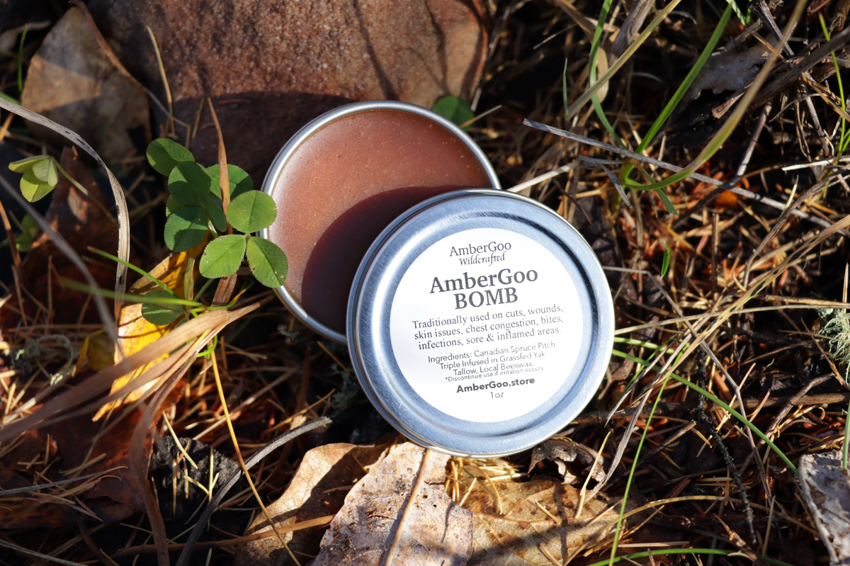 AmberGoo BOMB (Traditional Spruce Pitch Salve)